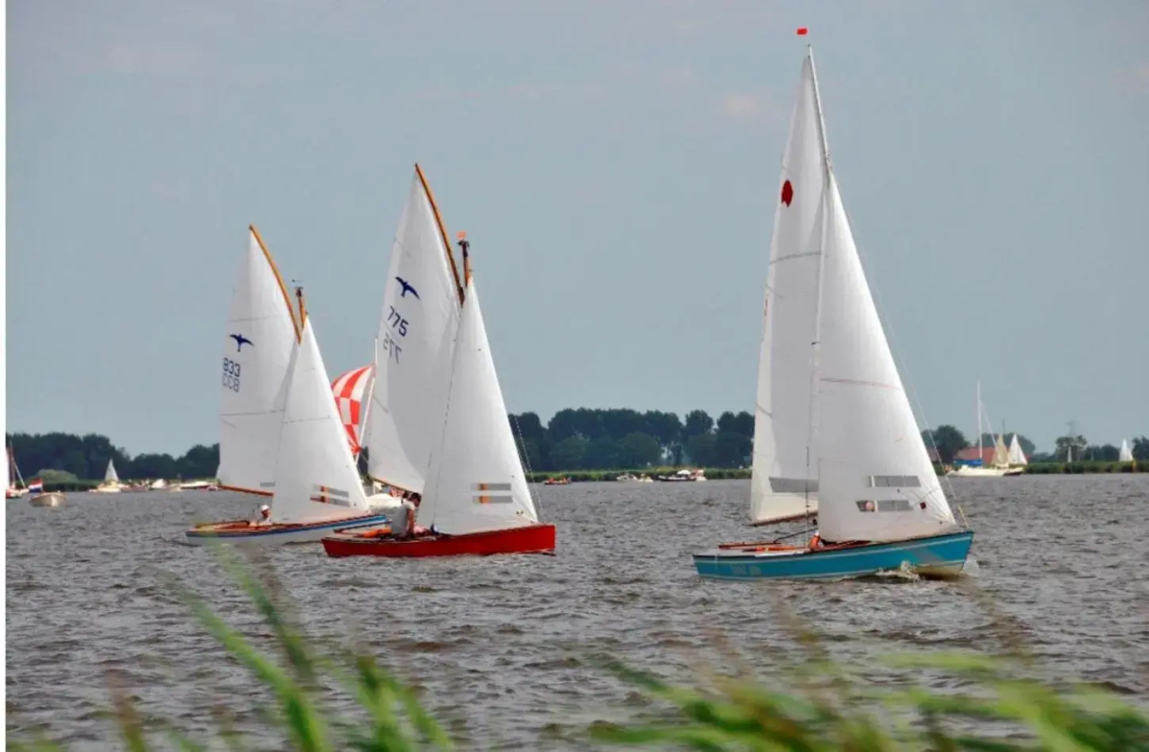 Vakantiewoning 'Eysinga State'