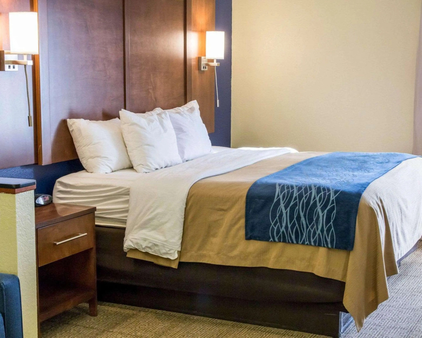 Comfort Inn & Suites Statesboro - University Area