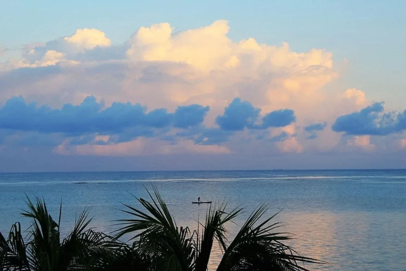 Lawson Rock - Angelfish 203