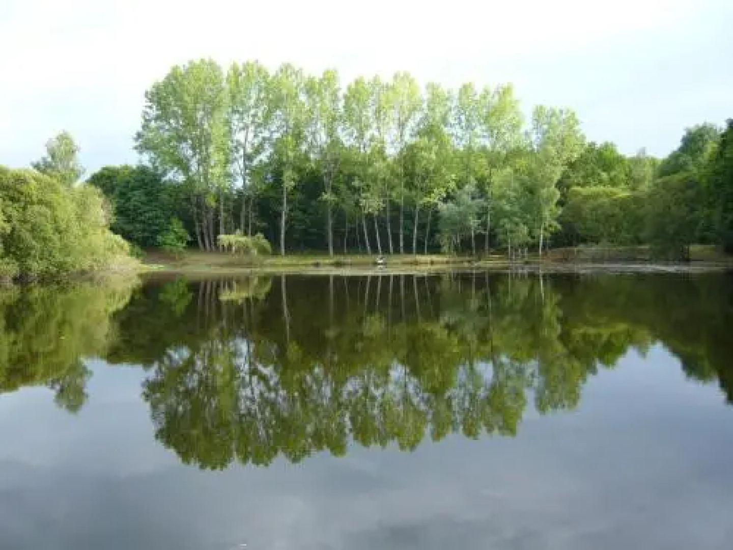 Lakeside Bed and Breakfast