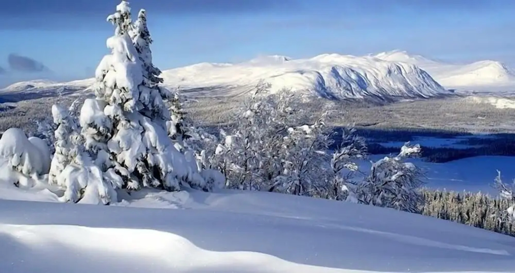 STF Saxnäsgården Hotell & Konferens