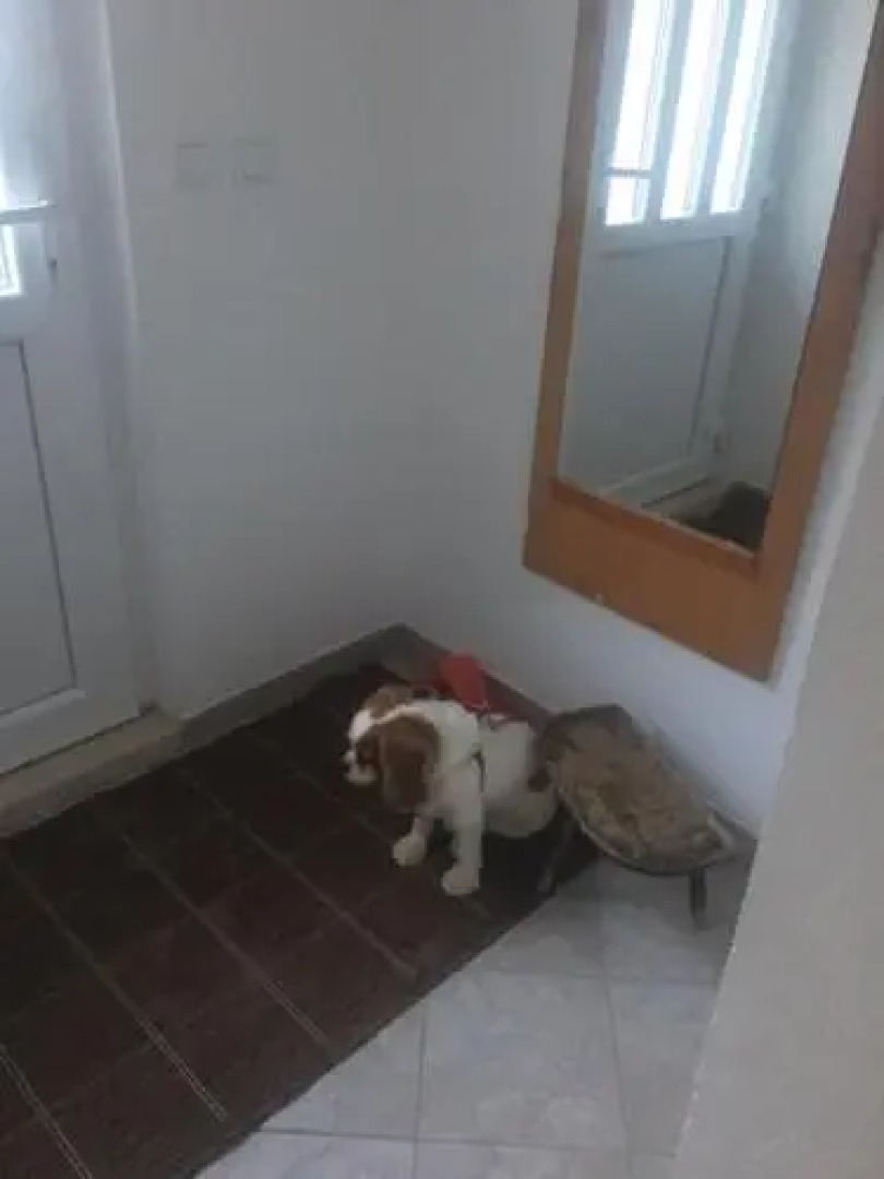 Holiday Home Gandalj_2