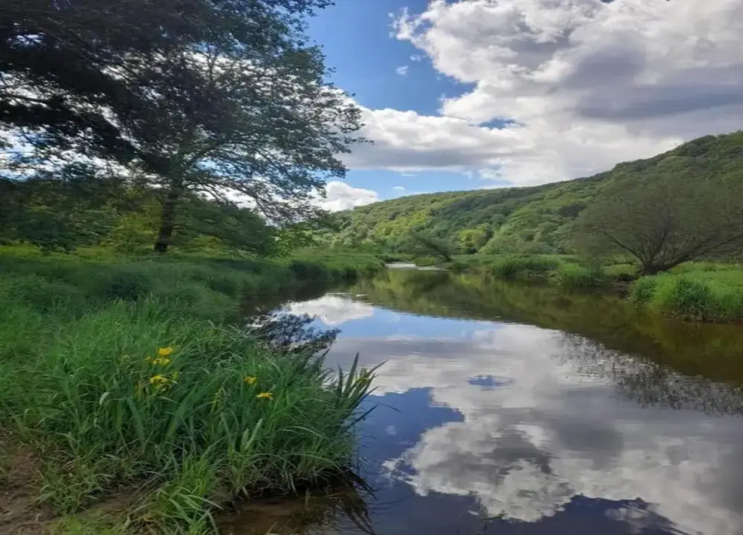 Capacious Holiday Home in Membre With Garden