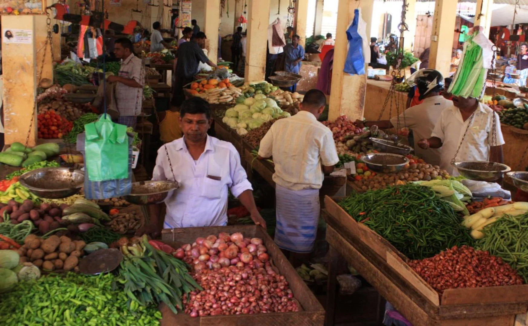 Sunnyfish Hotel & Resort