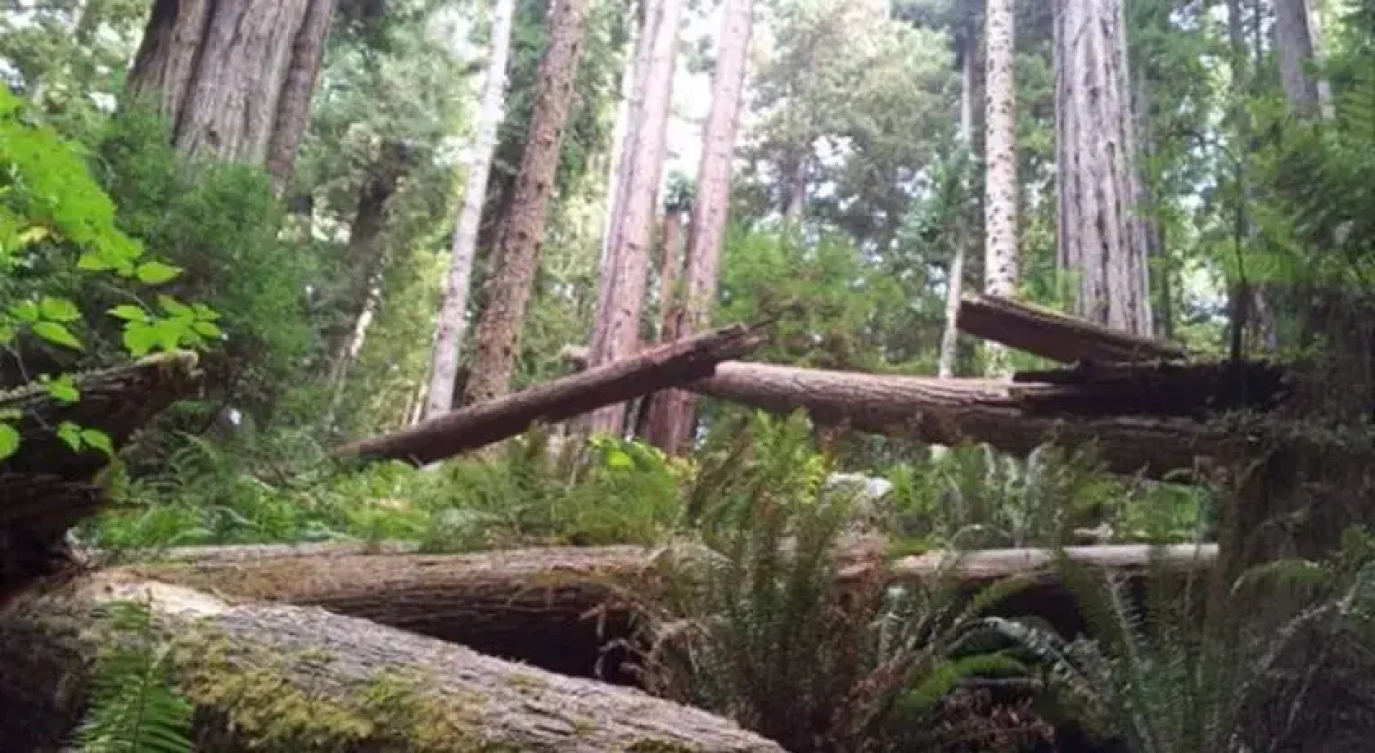 RedAwning Prairie Beach Home