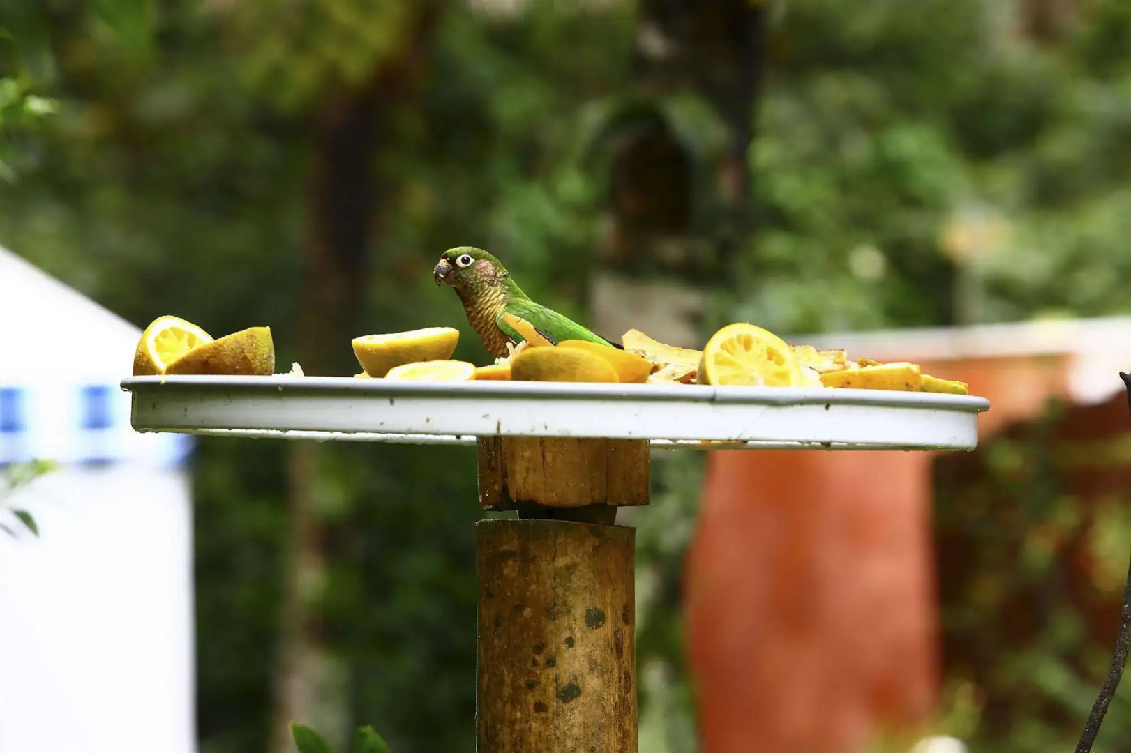 Hotel Pousada Ilhasol