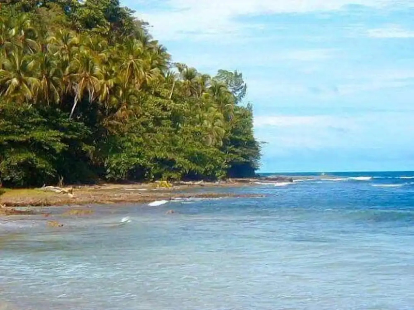 Cabinas Rocamar Playa Bonita