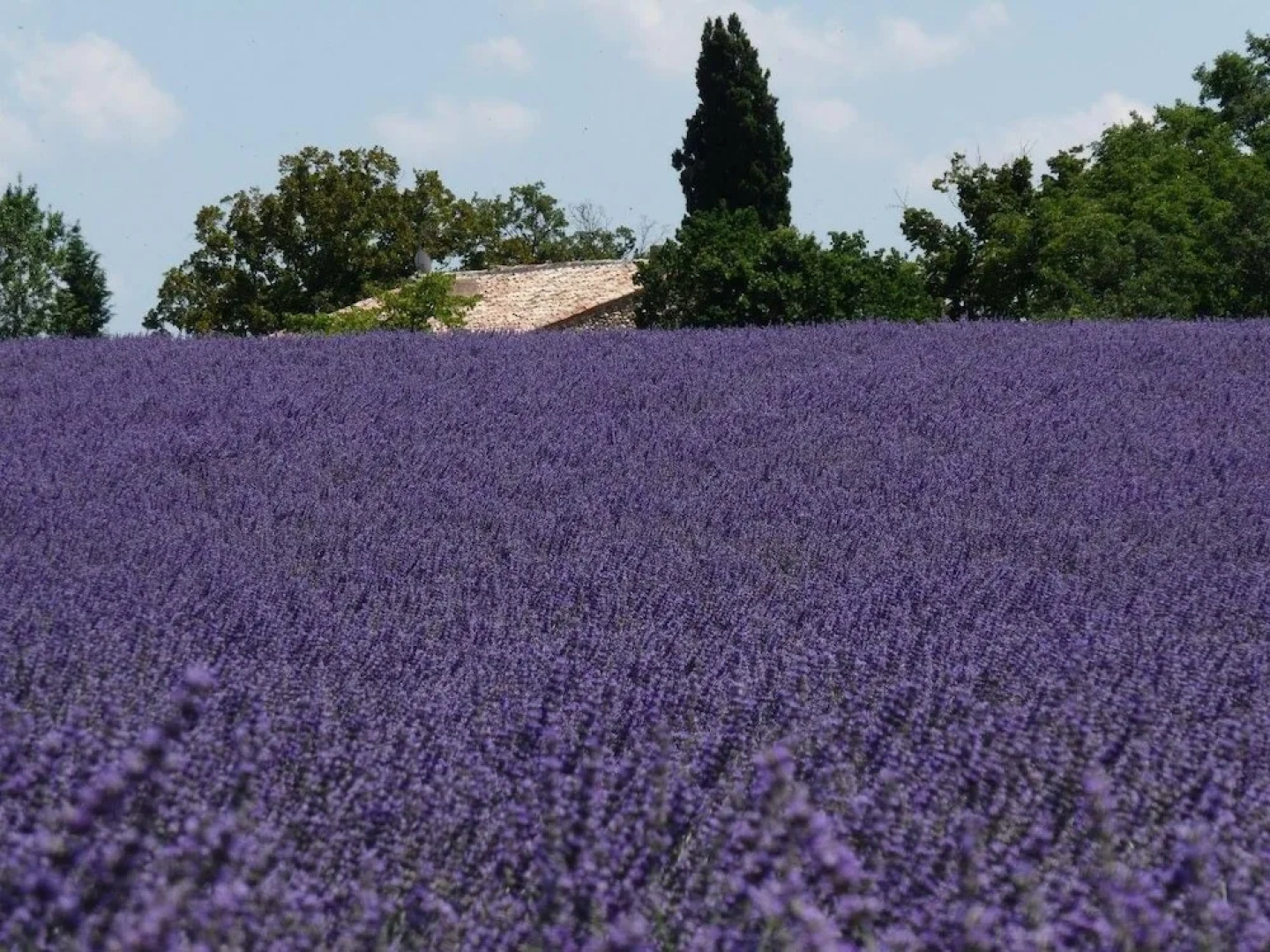 Gite Manon des Trêmes