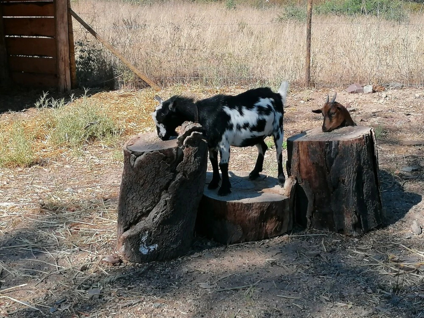 Rural Splendor 2-bed Cottage @talurdo Retreat