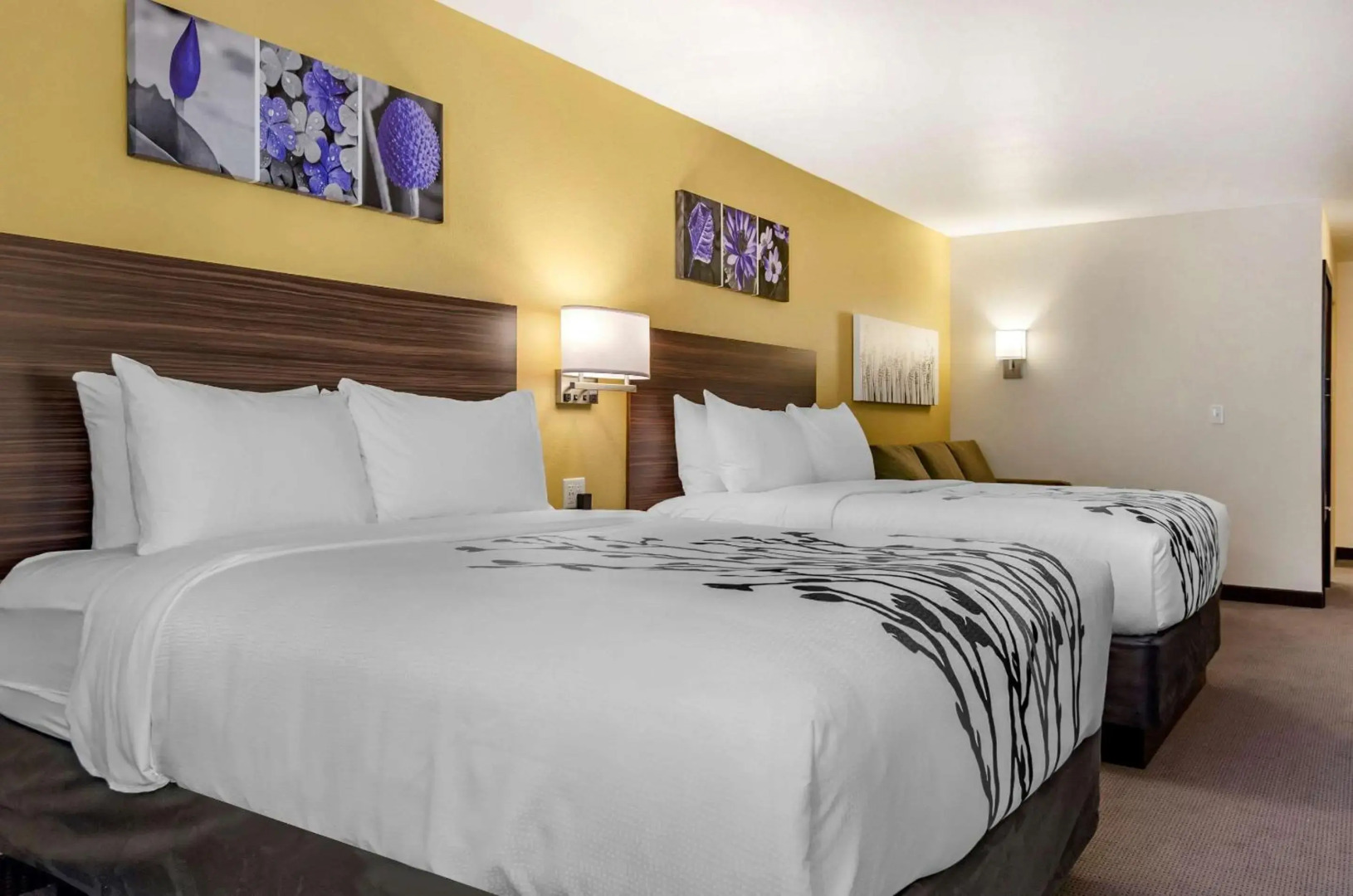 Sleep Inn Great Falls Airport