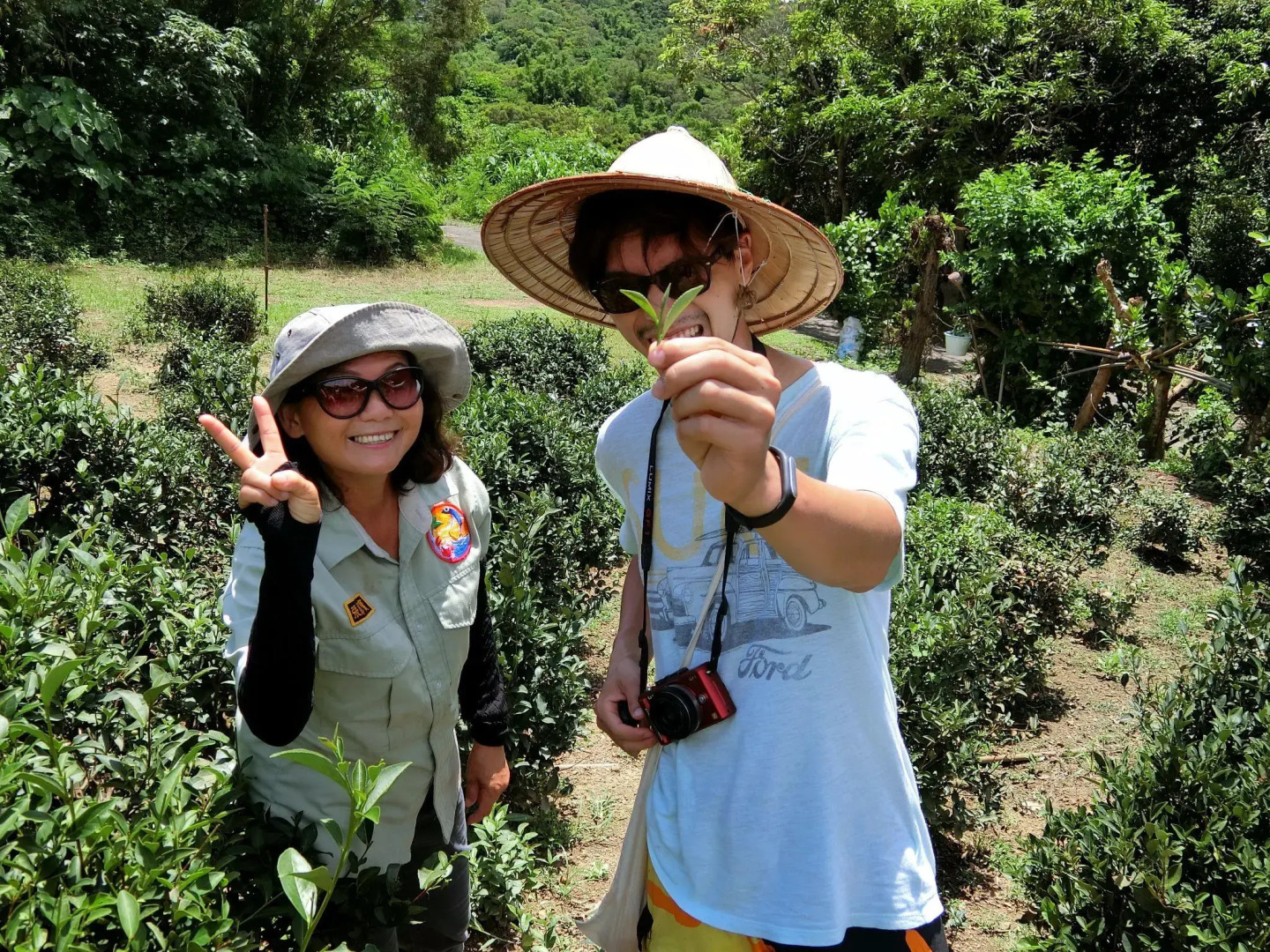 DreamButterfly Pet & Nature Hostel