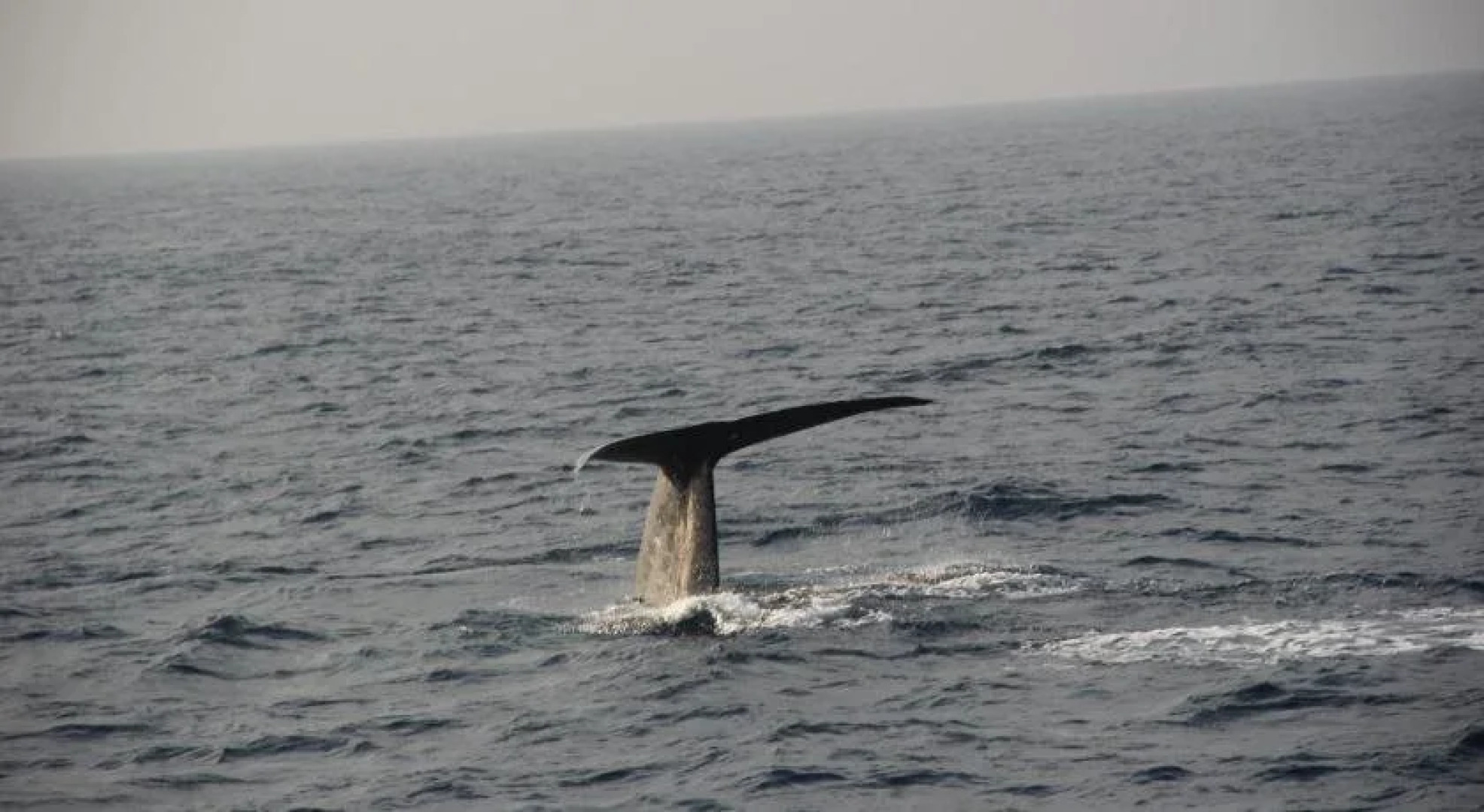 Uppuveli Beach Reesot