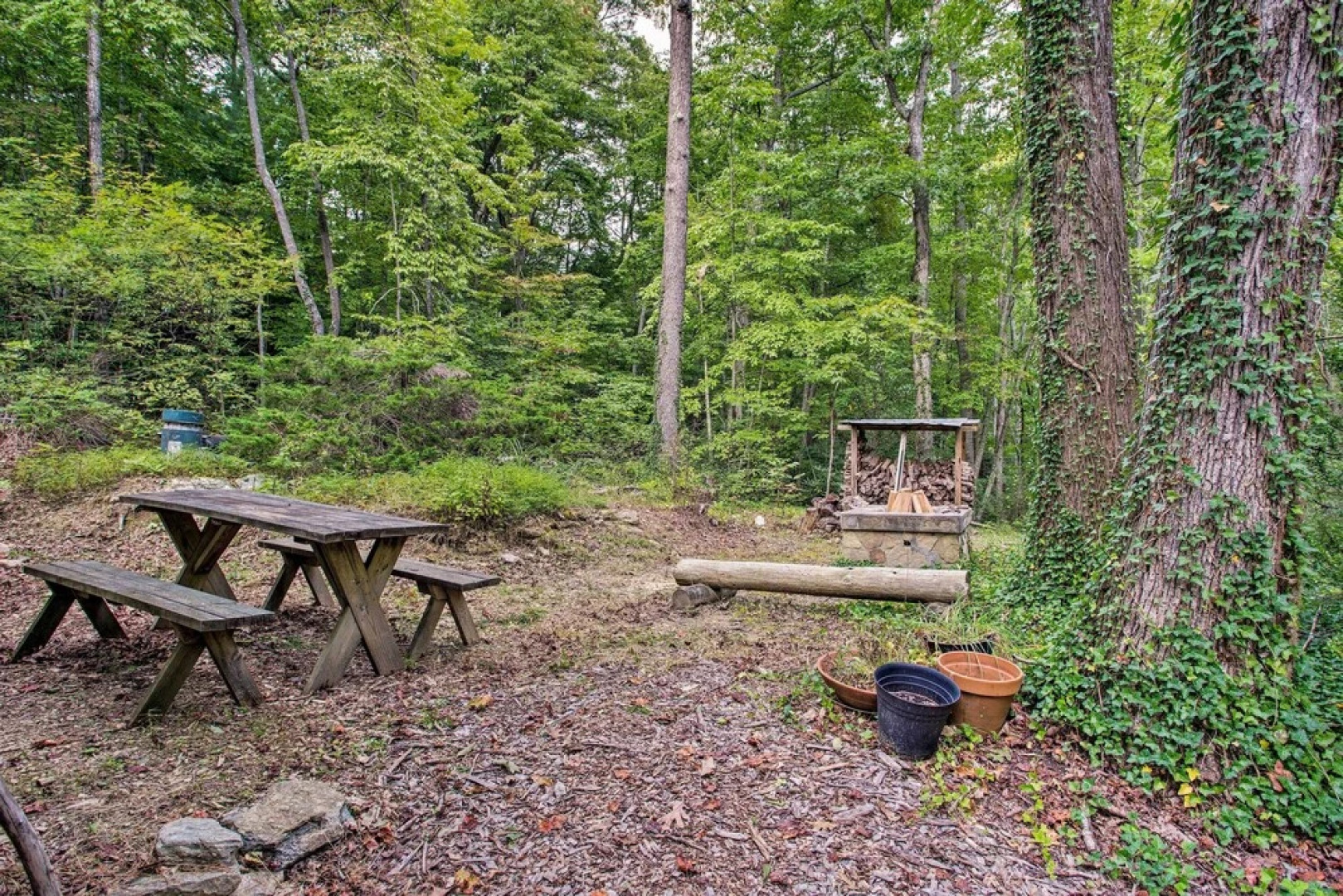 Asheville-area Cabin w/ Fire Pit & Forest Views
