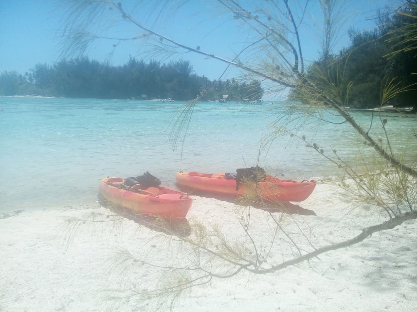 Fare Arana Moorea Guesthouse