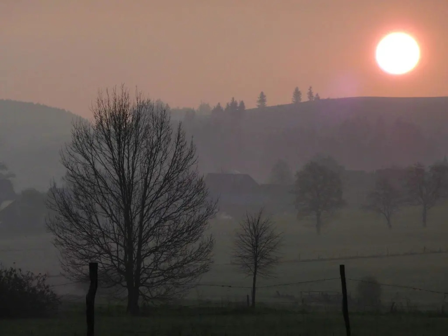 Graceful Holiday Home Near Ski Area in Schmallenberg Germany