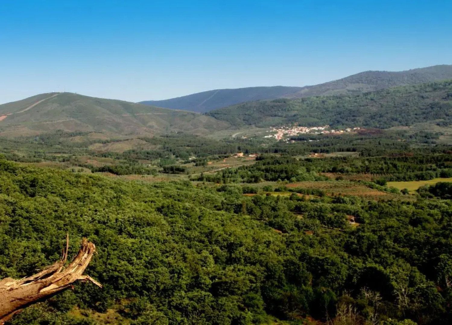 La Boticaria Casa Rural Apartamento