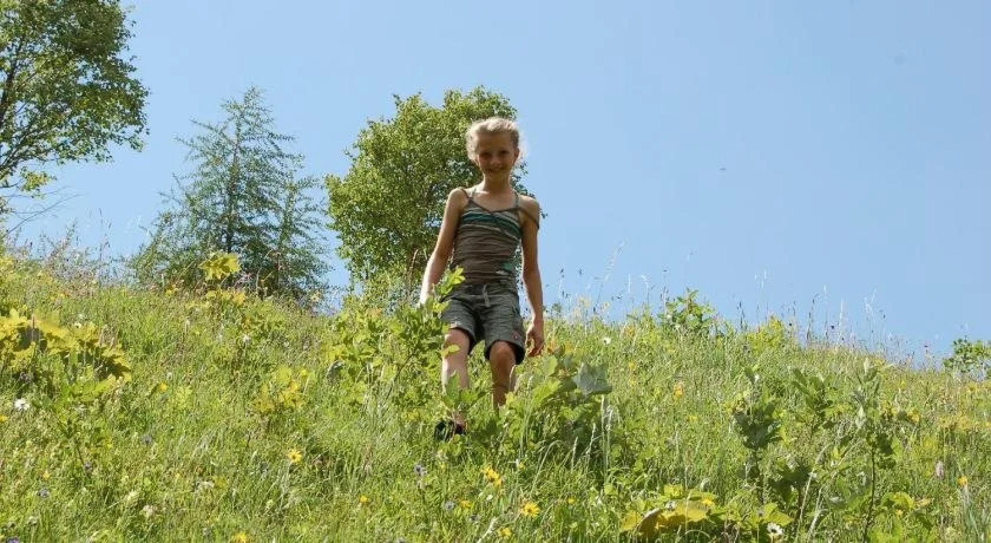 Gästehaus Pension Edelweiss