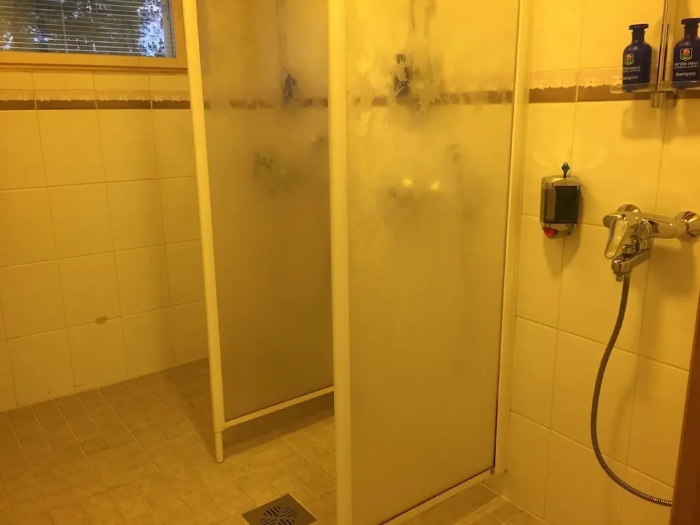 Porotila Toini Sanila