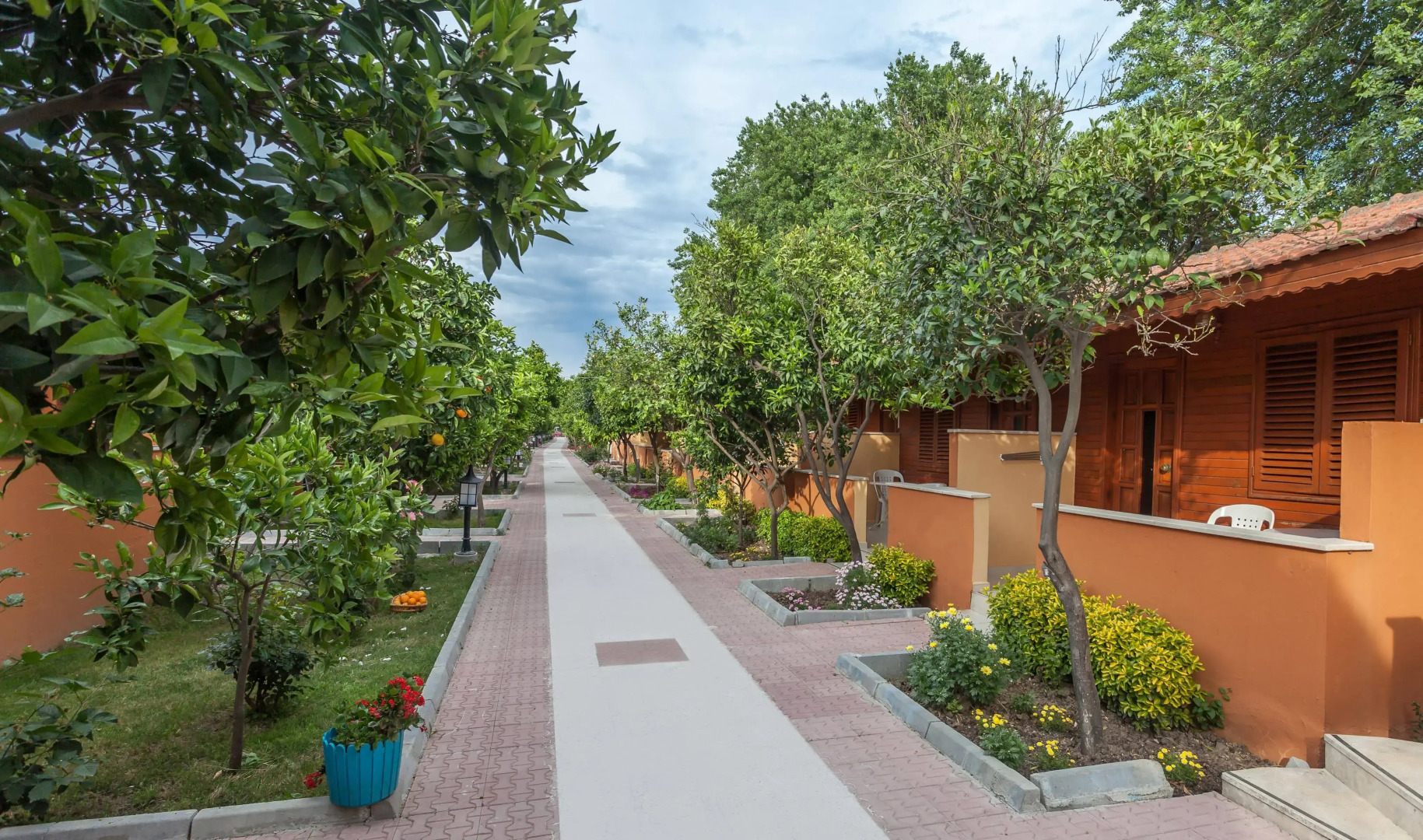 Hotel Ozlem Garden - All Inclusive