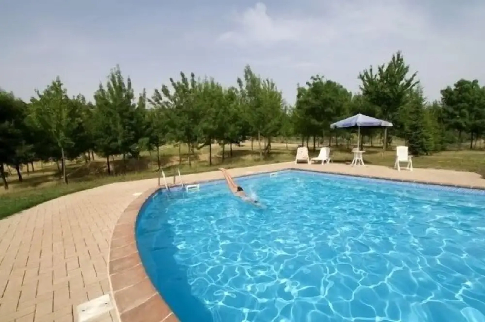 La Collina dei Ciliegi