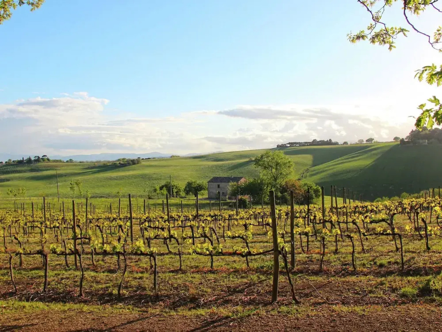 Luxurious Mansion with Private Garden in Montecassiano