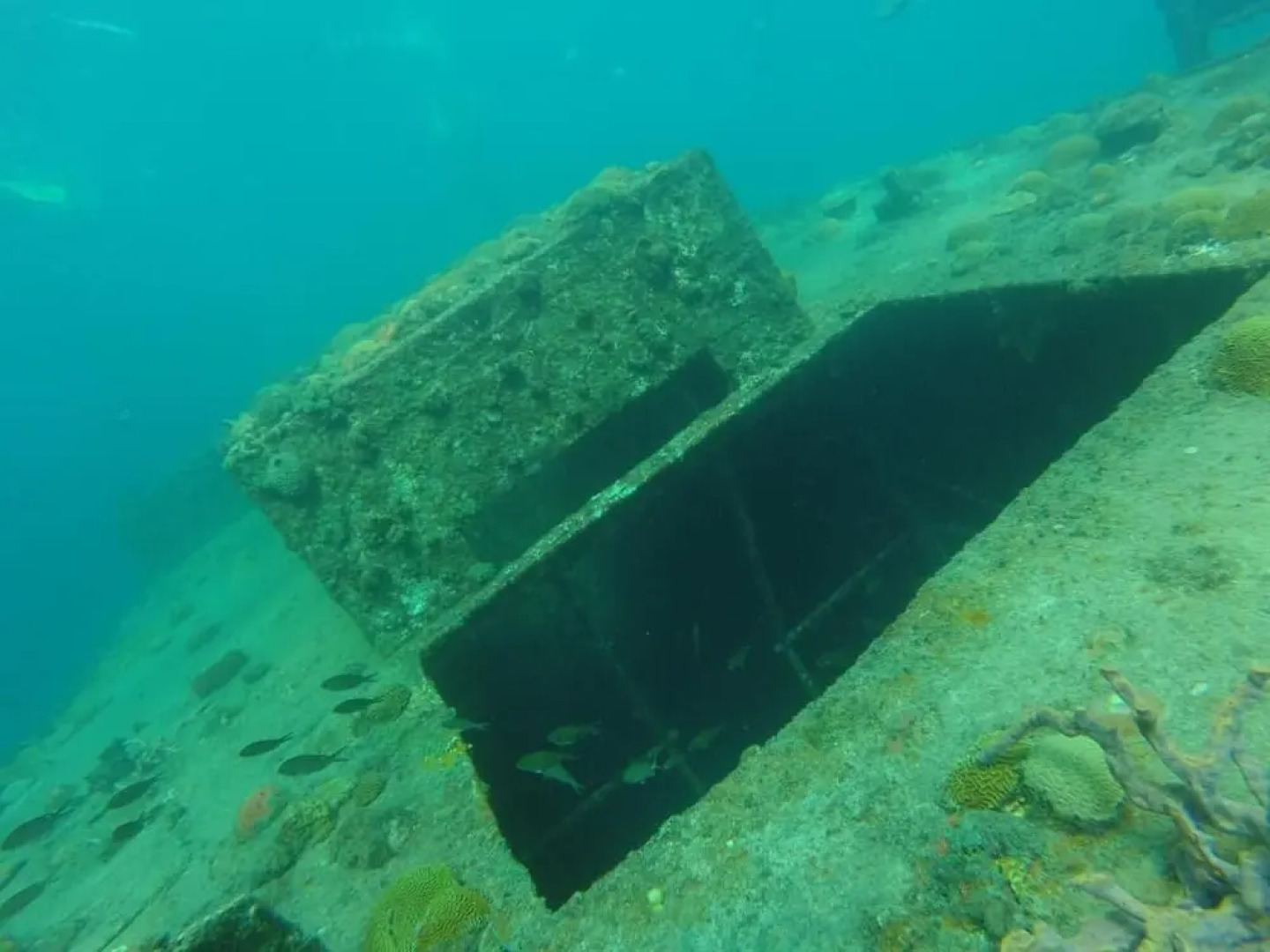 Green Garden Apartment