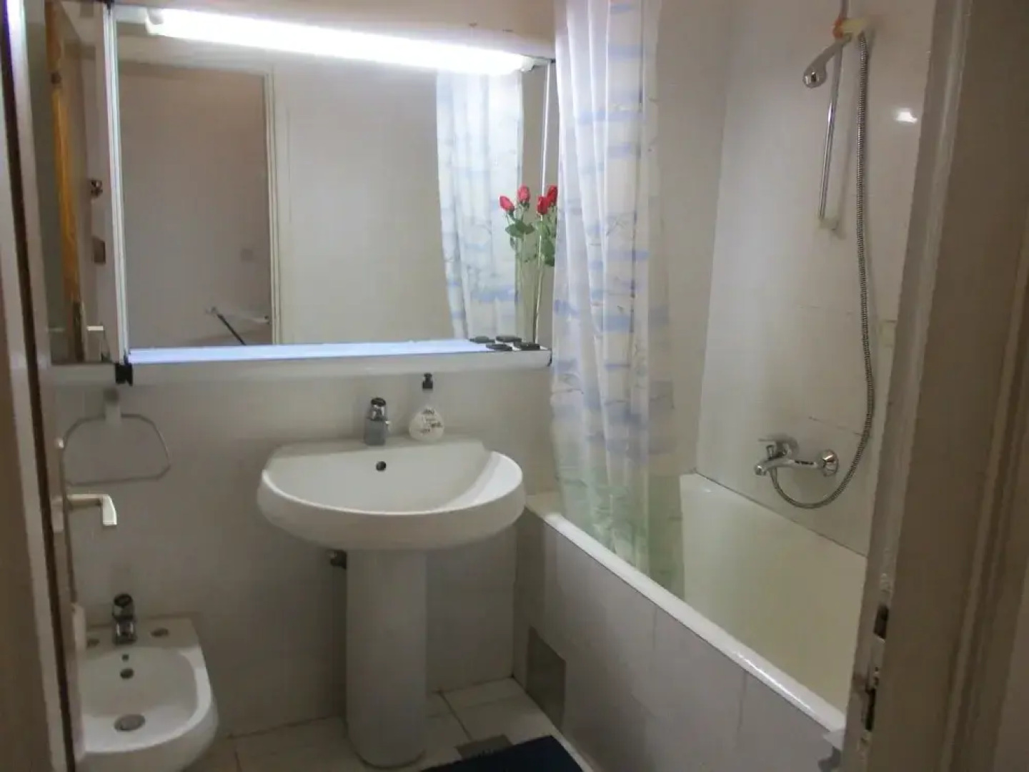 Apartments Ivica