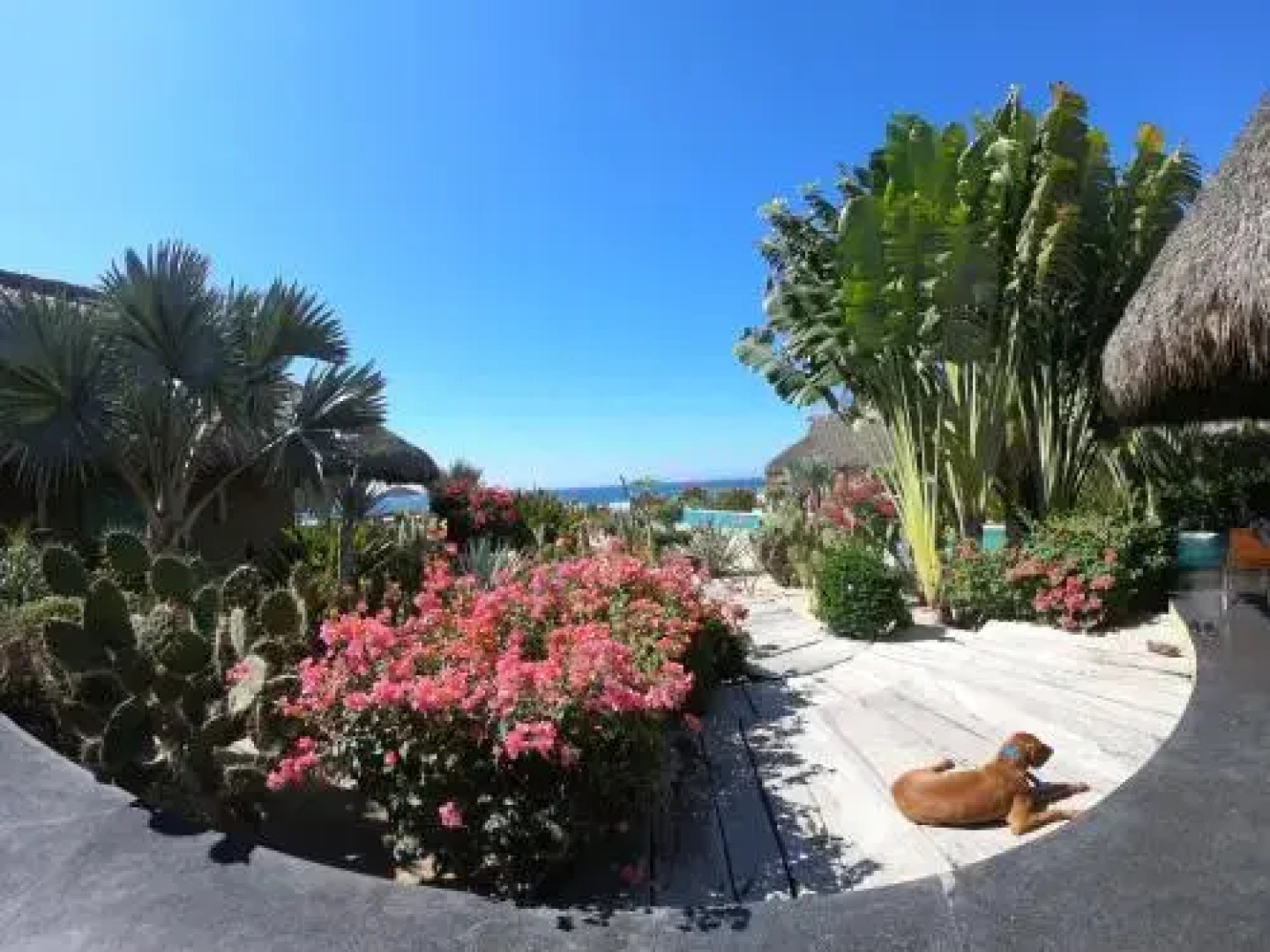 Amalys Luxury Resort