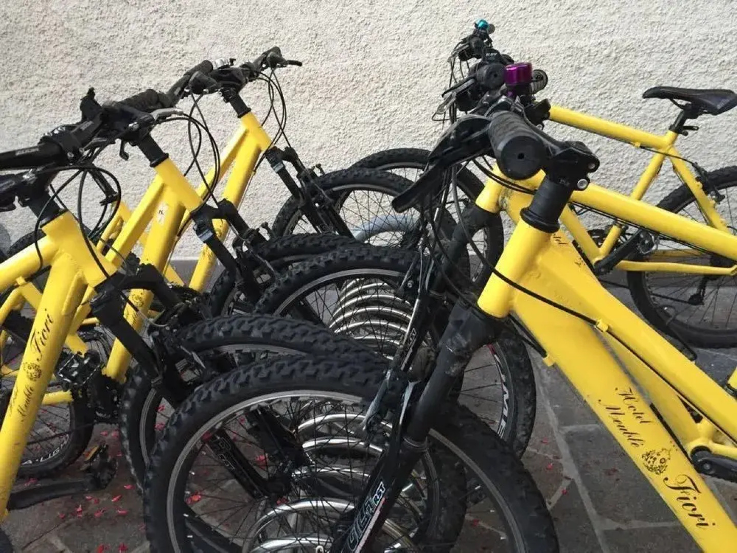 FIORI Dolomites Experience Hotel