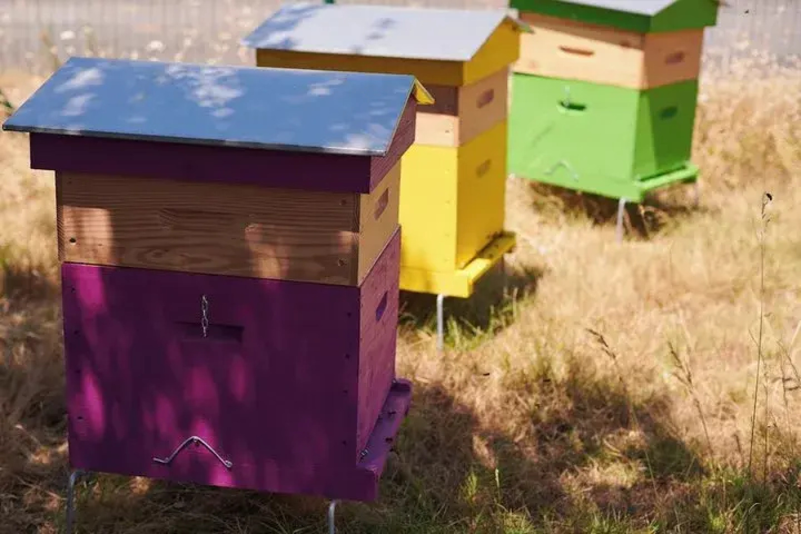 Greet hotel Saint Nazaire Trignac