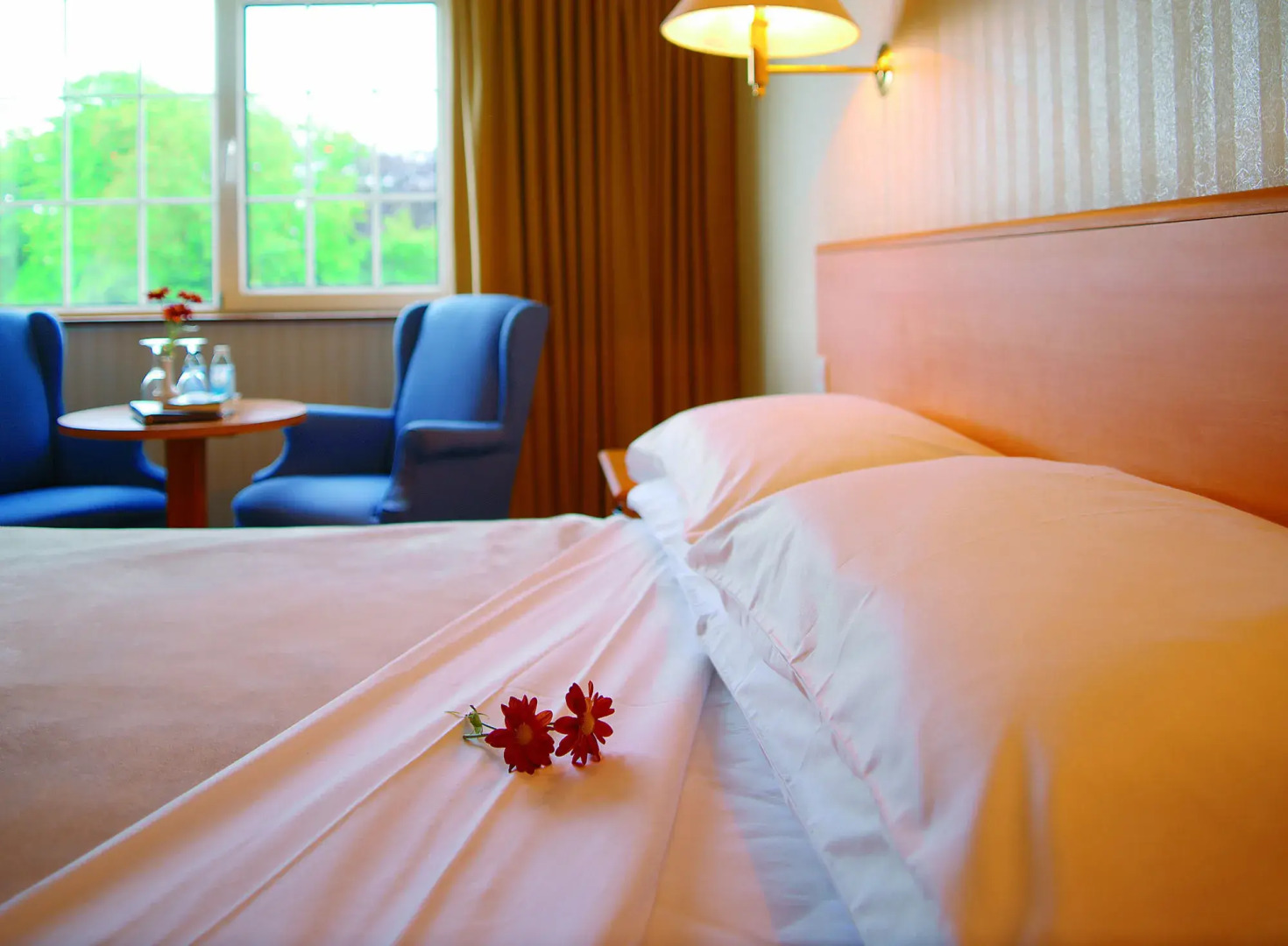 Killarney Avenue Hotel