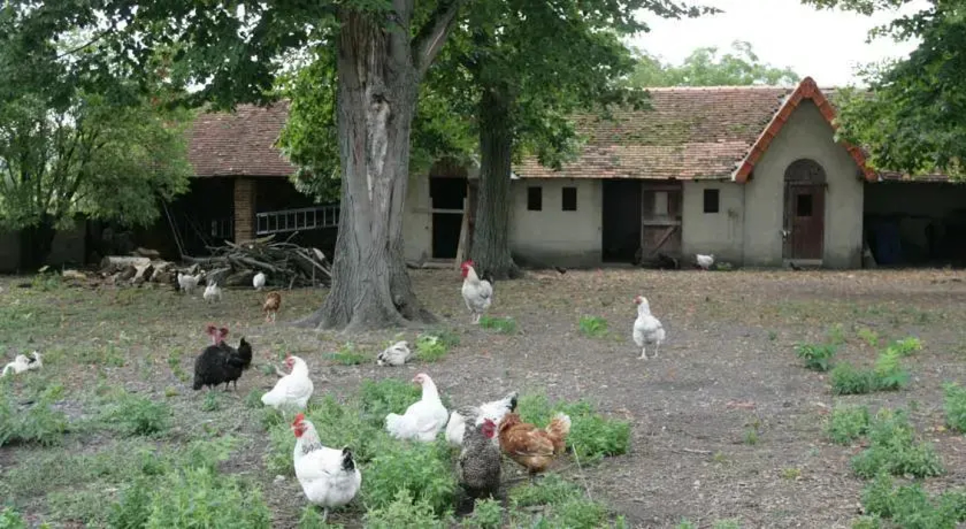 Demeure des Payratons