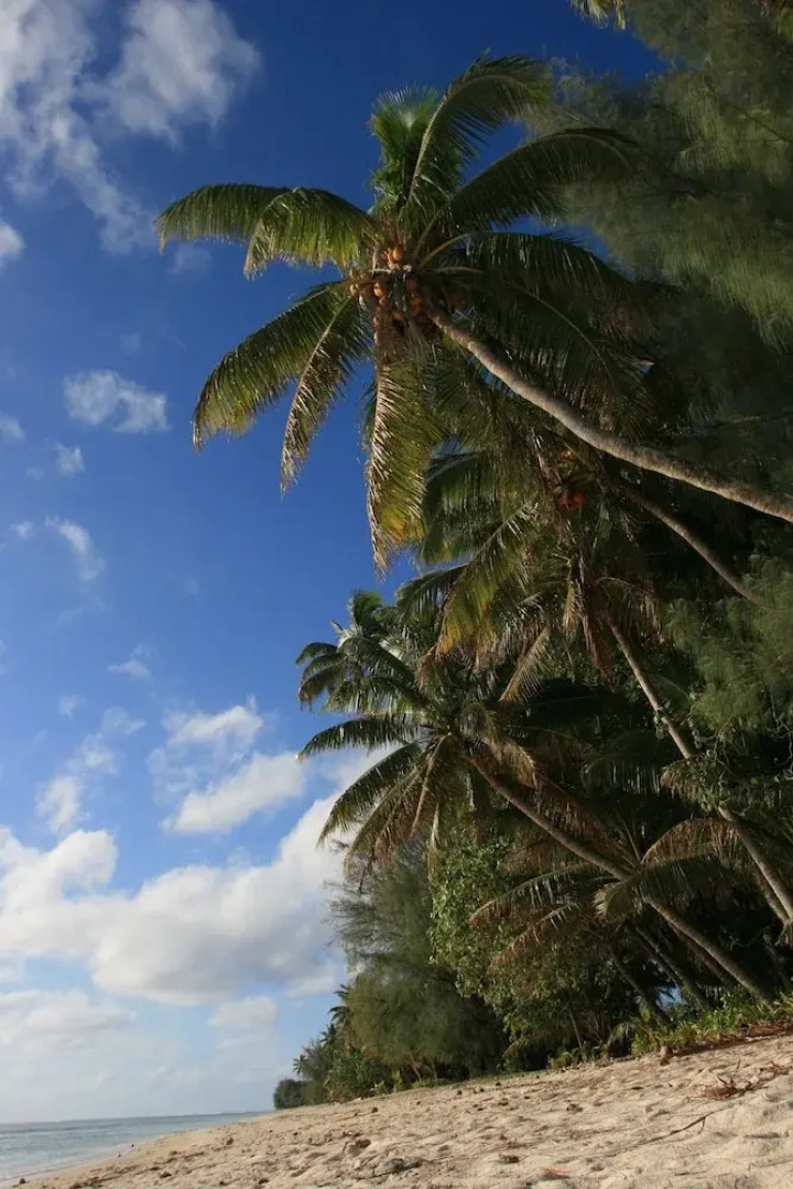 La Diosa Nature Lodge