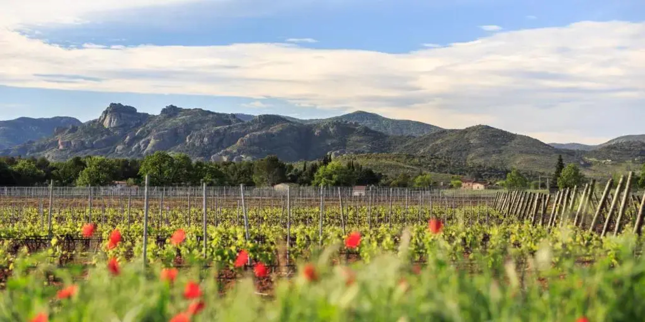 Château des Demoiselles