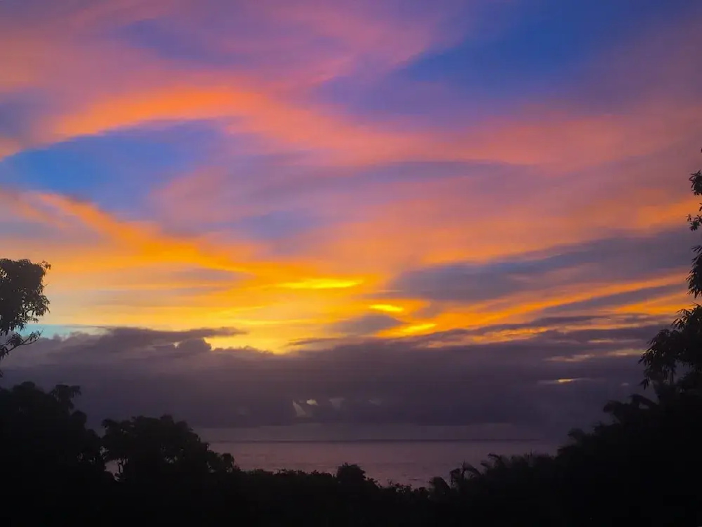 Birdsong 1 Bedroom Home by Redawning