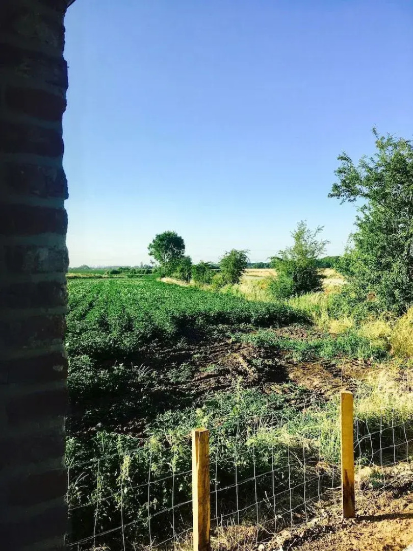 Le Pave de la Croix Blanche