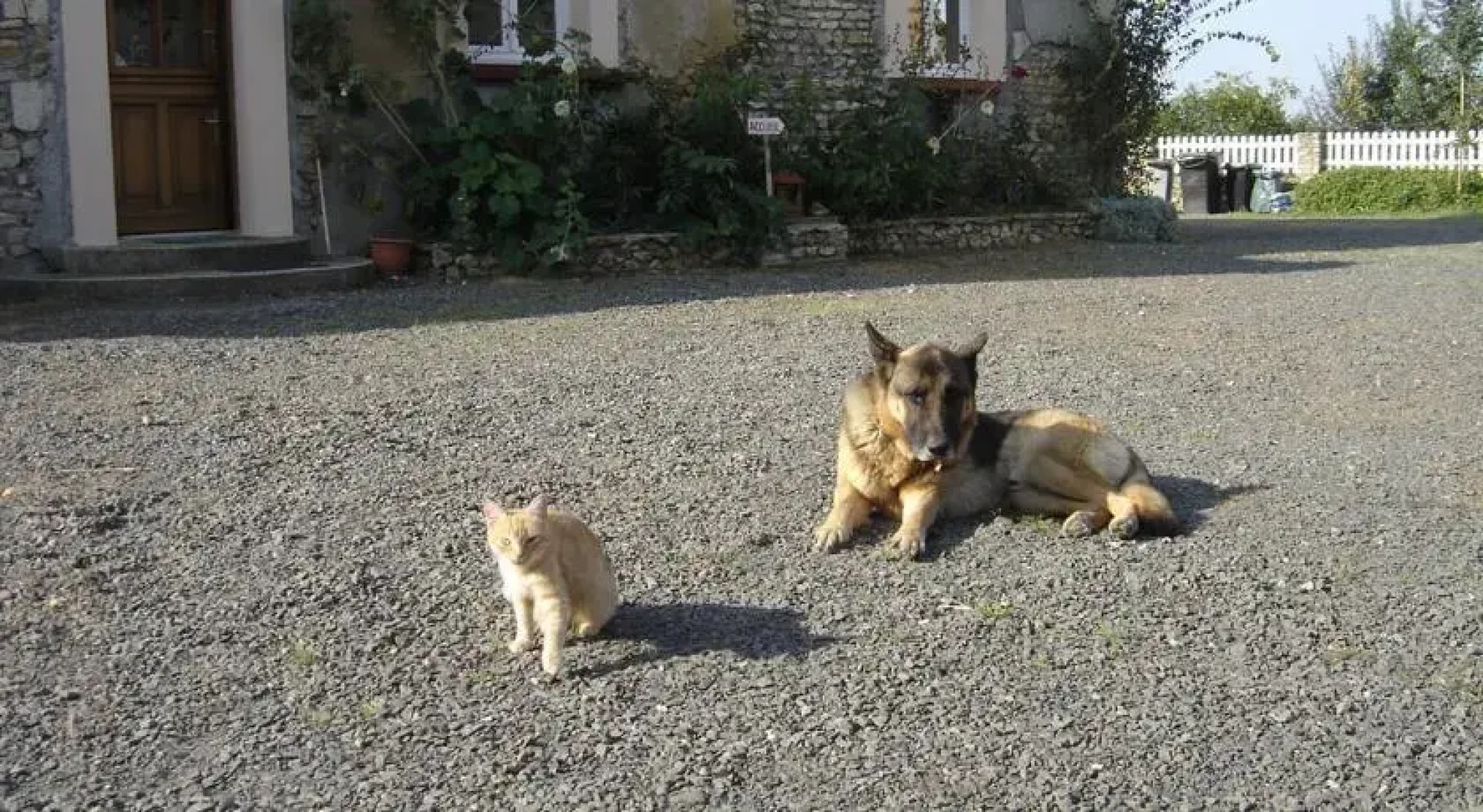 Les Gites du Champ Fleuri
