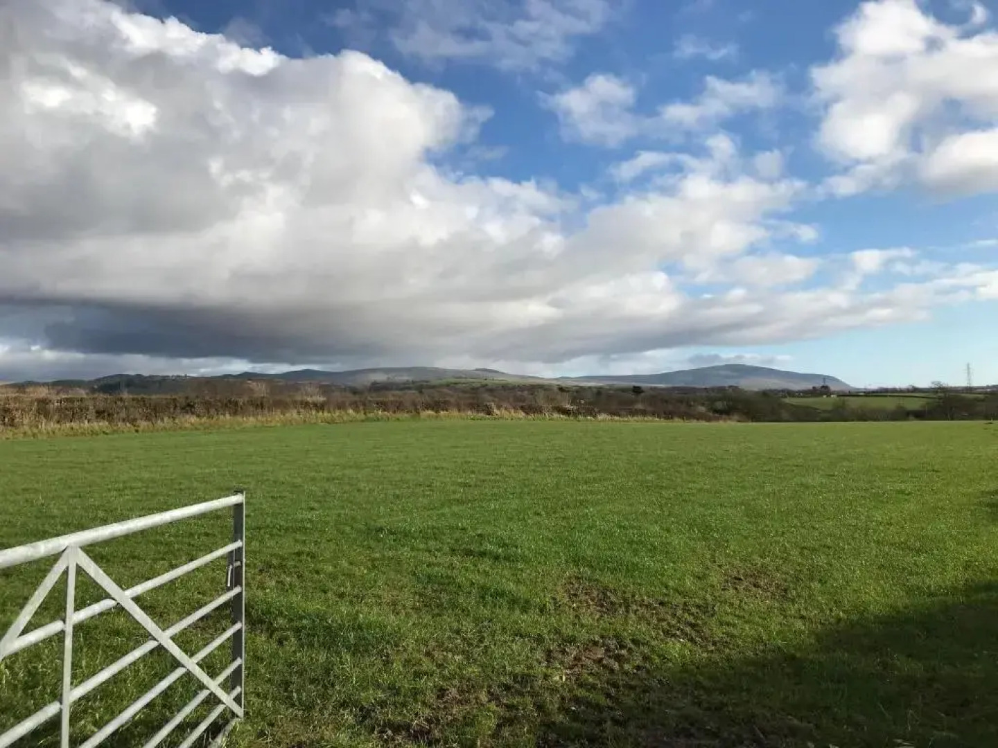 Dale View bed & breakfast