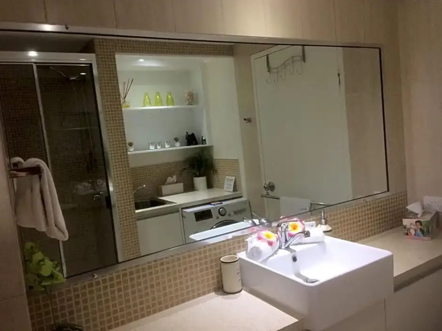 Paradise in the Tropics