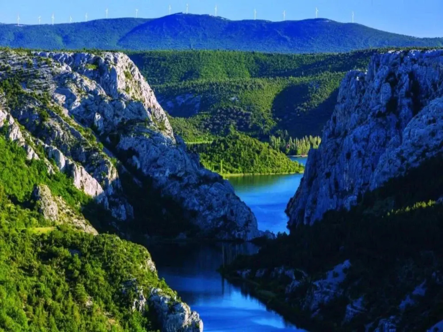 Exclusive Suite With Breakfast Included