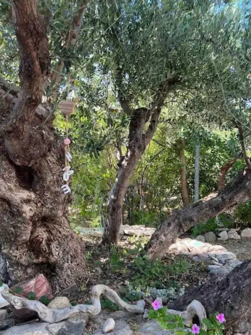 Private country house