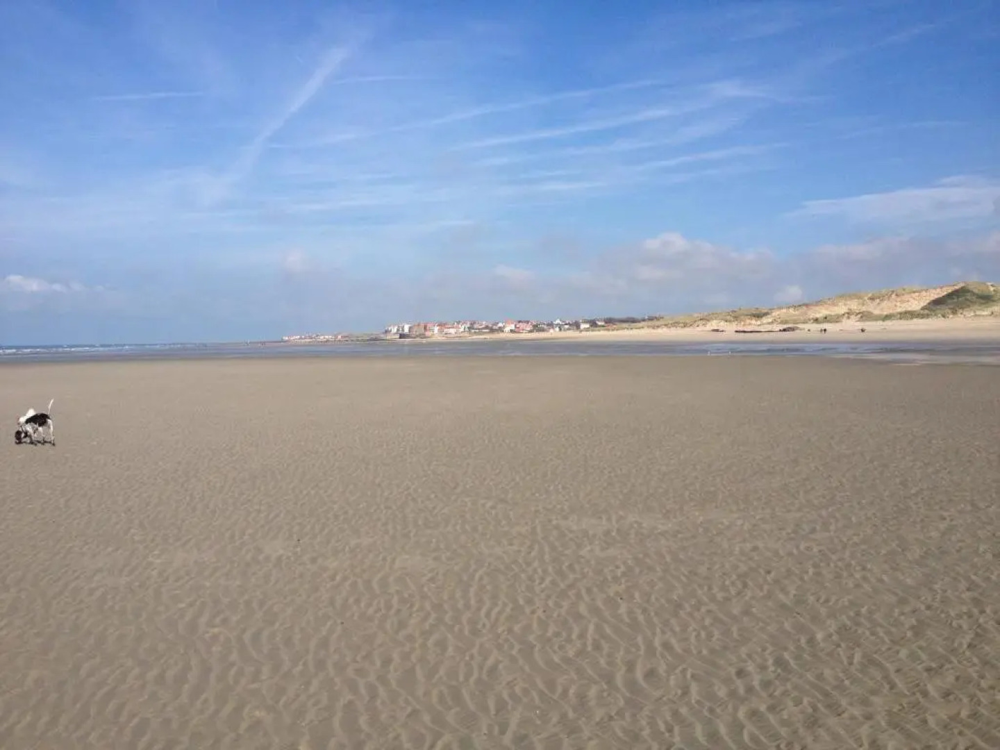 Face A La Mer , L Artiste