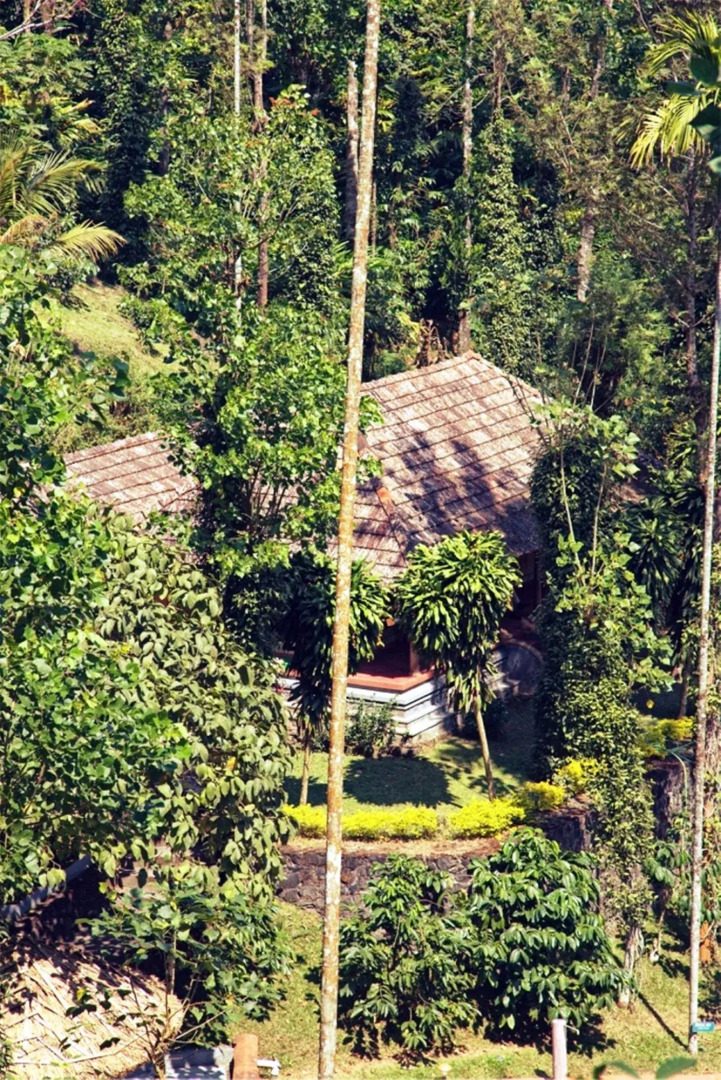 Oxygen Resorts Wild Corridor