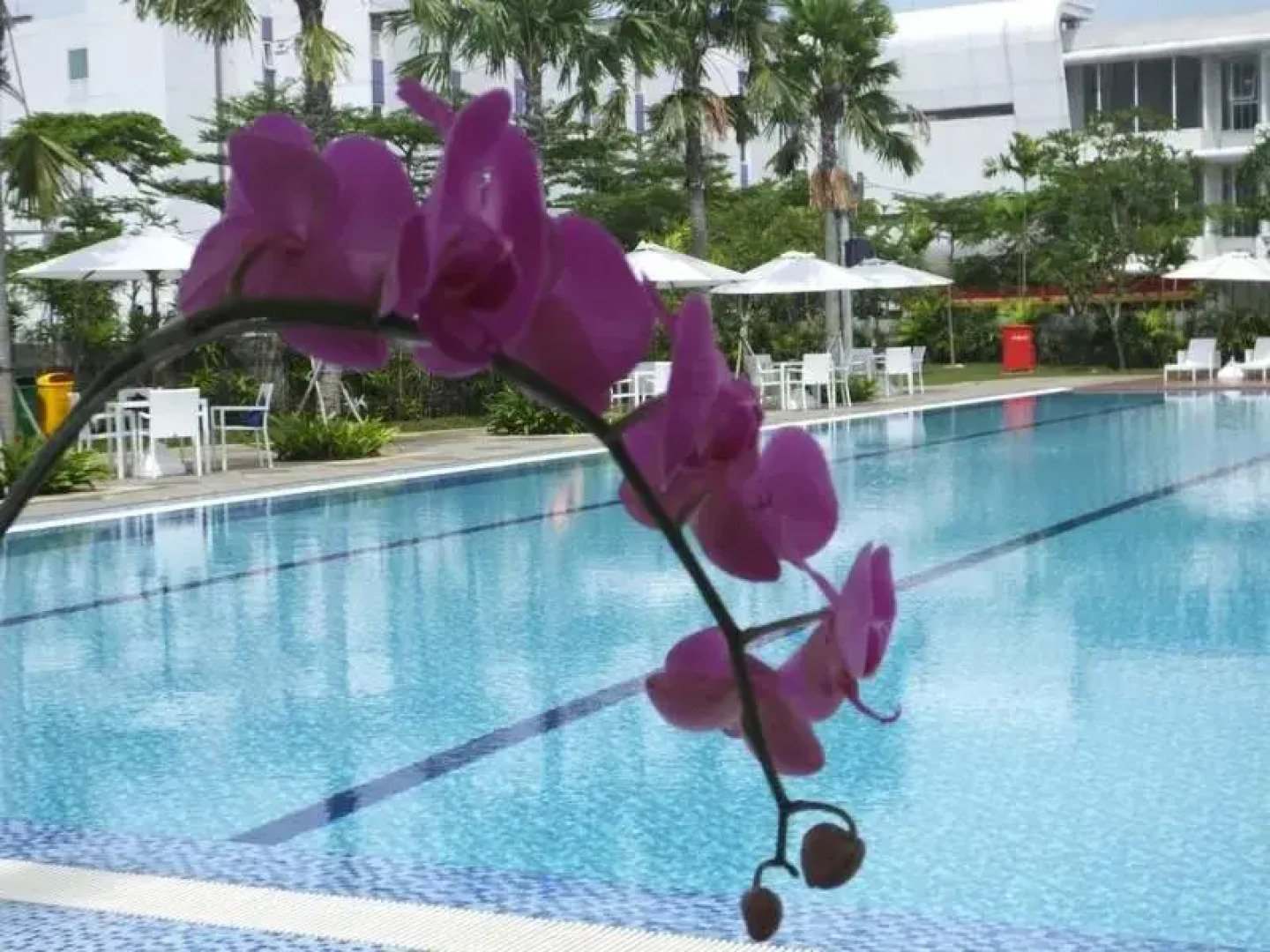 Nunia Inn Bandara Aeropolis