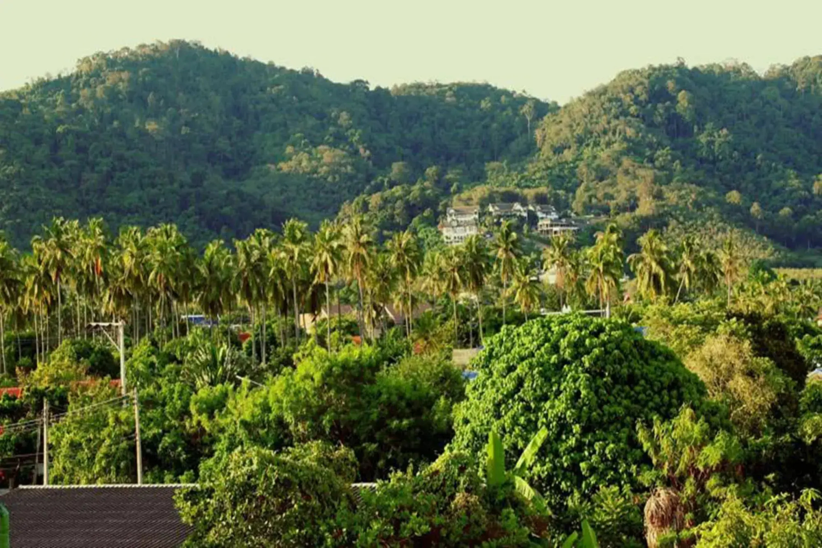 Tropical Sands Guesthouse