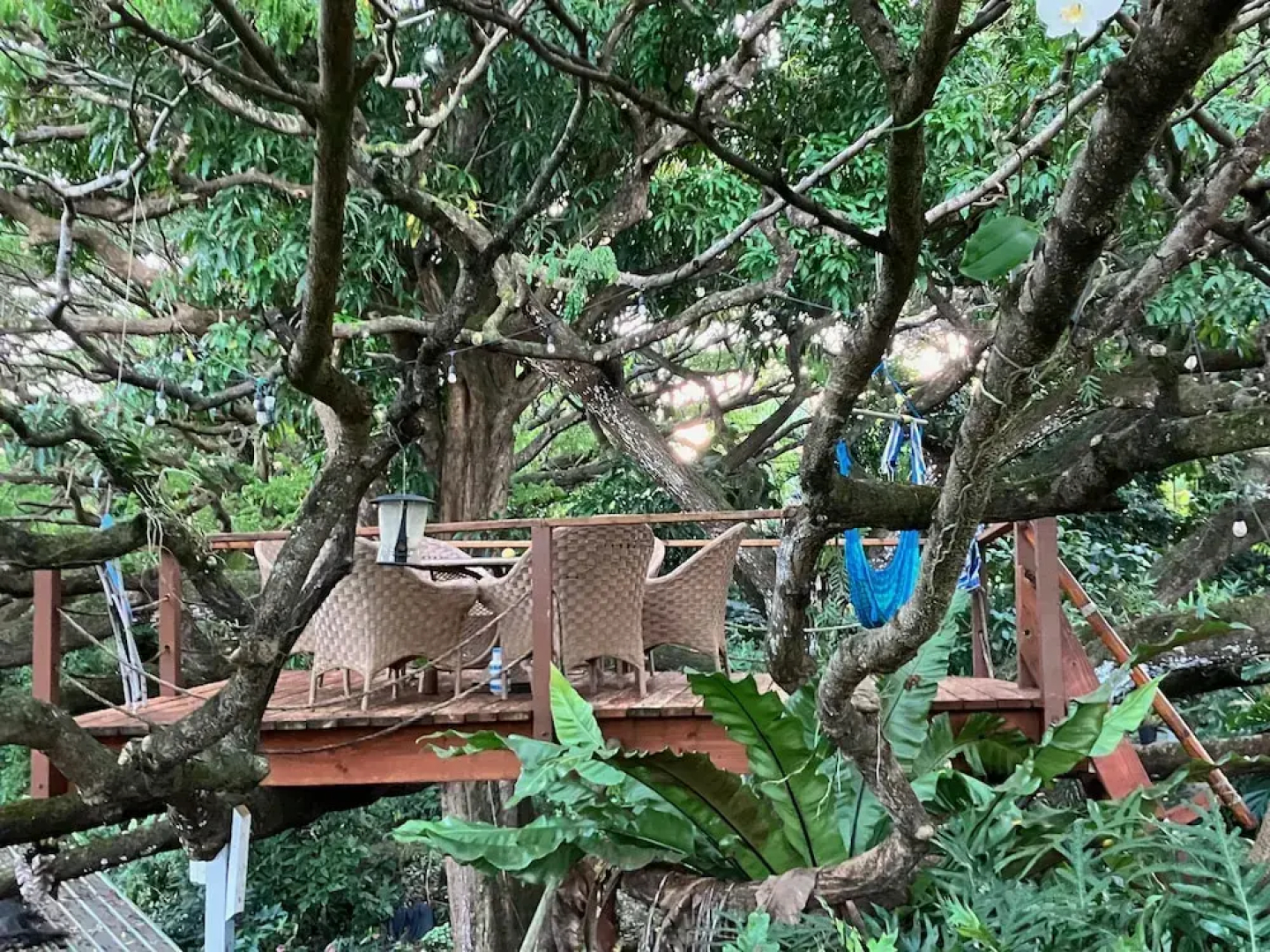 Sweet Spot Stay - Tikis and Treetops
