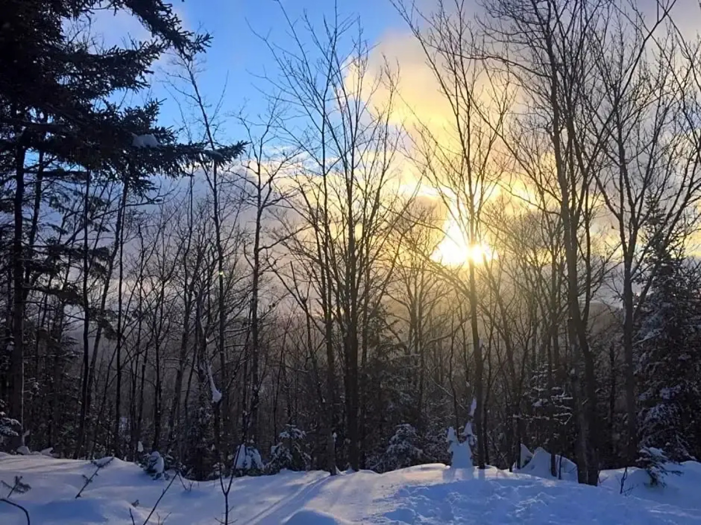 Lodge Nature Laurentides
