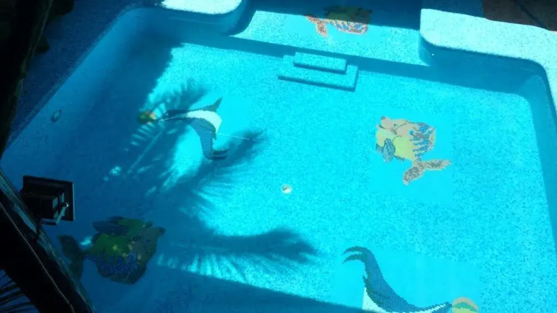 Hotel & Suites Bello Caribe