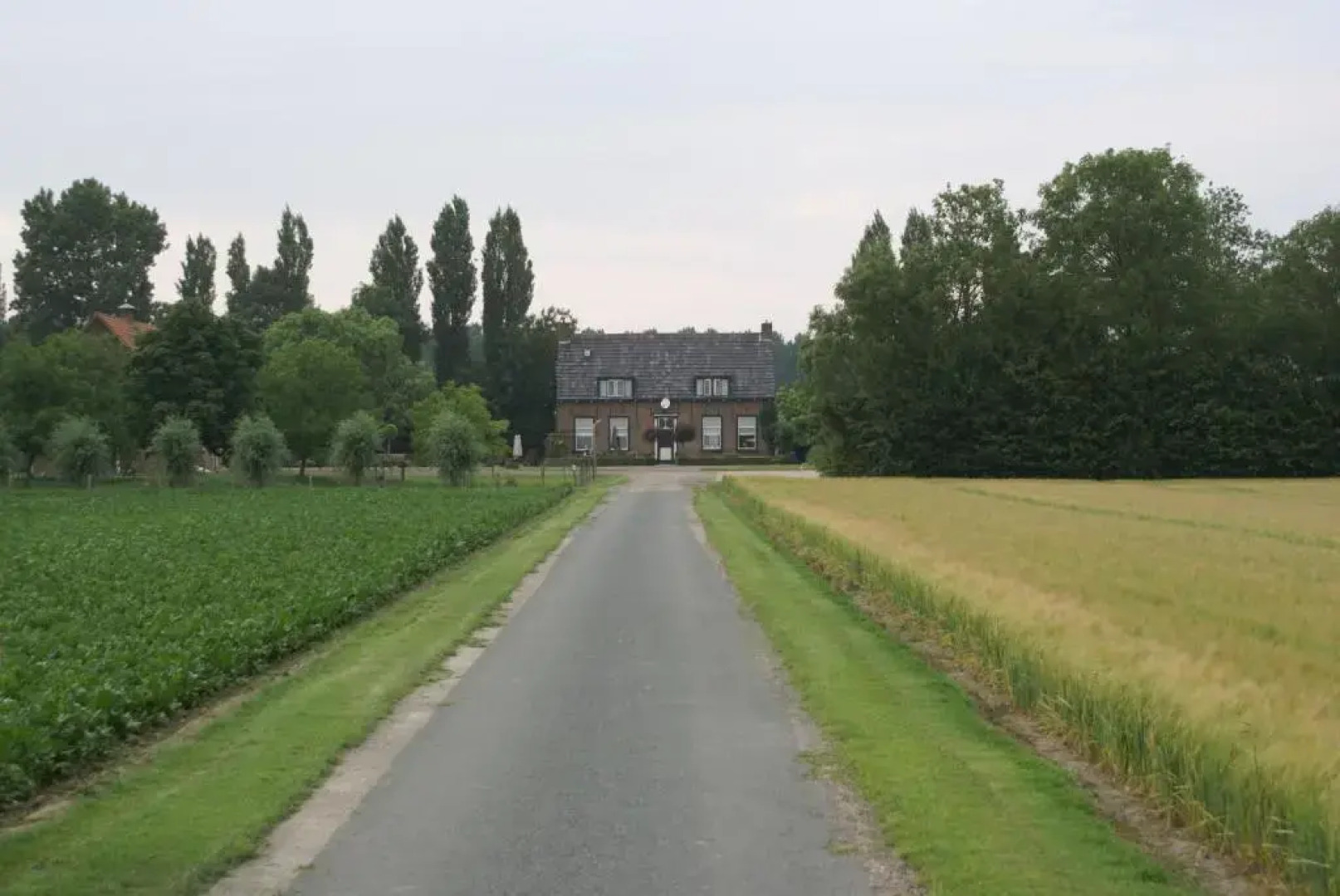 Bed & Breakfast de Kienstee