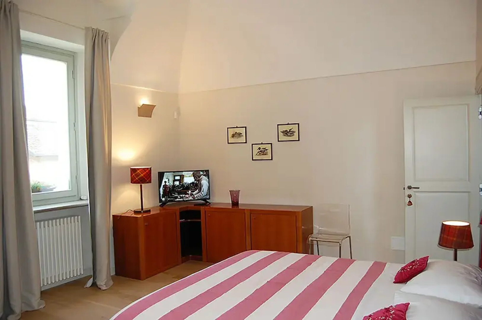 B&B Fraxinus Excelsior